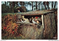 ASIP3-0147-CHASSE - Chasse a la palombe - Une palombiere