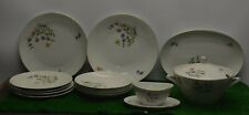 SERVICE DE TABLE BAVARIA WEIDEN MONIKA ASSIETTE PLATE CREUSE PLAT VIANDE LEGUME