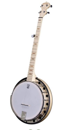 Deering goodtime two string - goodtime, 5-string