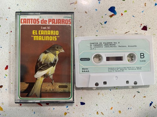 Cantos oiseaux canari - oiseaux, le