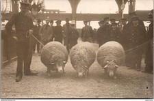 S20633 cpa Paris - Concours