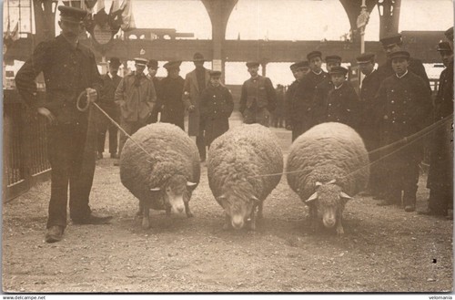 S20633 cpa paris - paris, concours