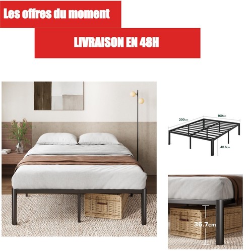 Zinus van sommier - zinus,
