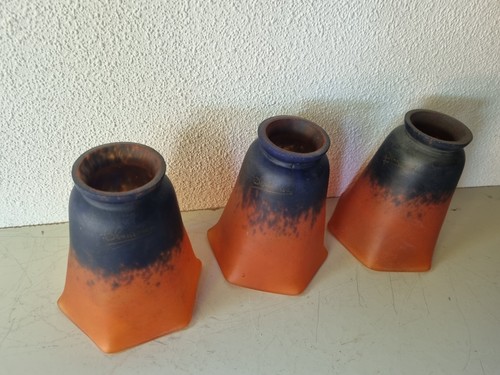 Jolies tulipes anciennes en - jolies,