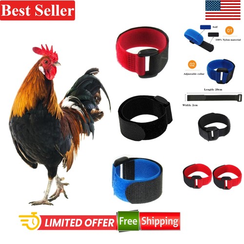 Pack crow rooster - no, collar