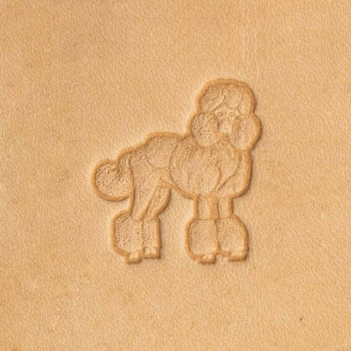 Matoir chien caniche - chien,