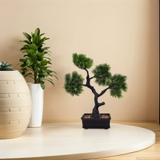  Bonsai Artificiel Plante