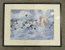 Damien Hirst Encadré Pharmacy