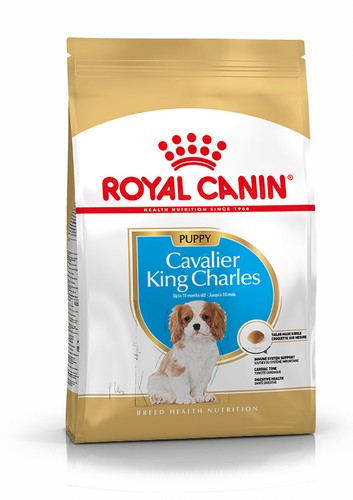 Nourriture sèche pour chien - sèche,