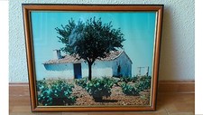 Tableau photo Paysage rural