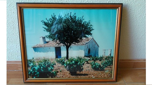 Tableau photo paysage rural - tableau,