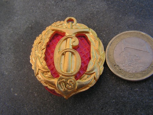 Insigne 6 eme tirailleurs - ,
