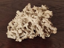 Ancien bloc,  branches de