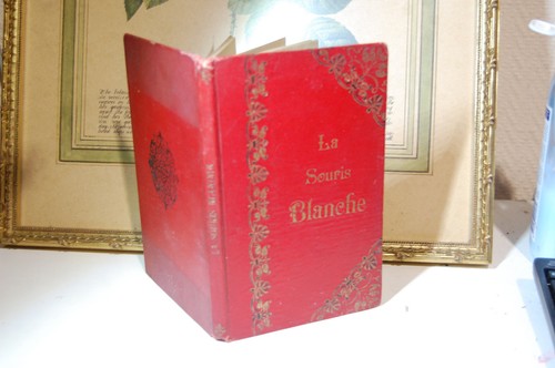 Souris blanche hégésippe - souris, blanche,