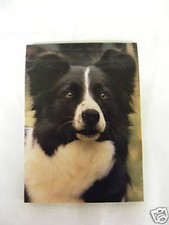 Carnet aimanté à feuilles -