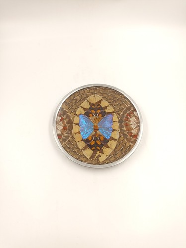 Assiette cadre mural ailes - assiette,