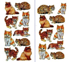 stickers chaton 🐱🐈 #05 chat chat chaton