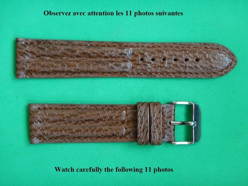 Bracelet étanche requin - bracelet,