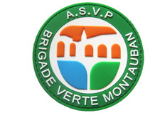ECUSSON PVC COLLECTION POLICE ASVP LA BRIGADE VERTE DE MONTAUBAN 82
