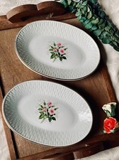 Lot Raviers Plats Luneville Badonvillier modèle Bagatelle motif Roses