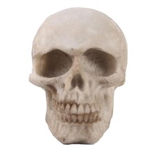 1: 1 Mini Réplique Réaliste