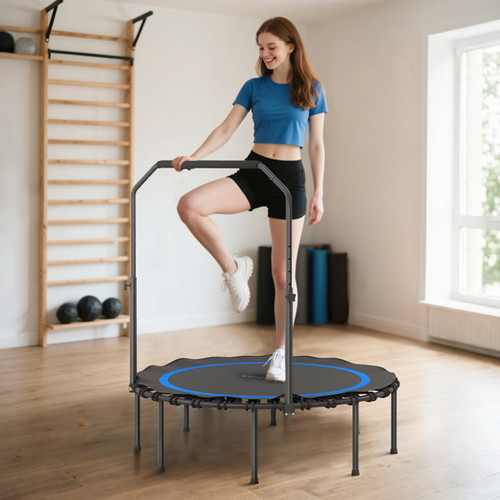 Exercise trampoline - exercise,
