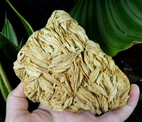 Plaque baryte crêtée - plaque,