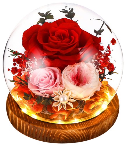 Rose eternelle fleur - rose,