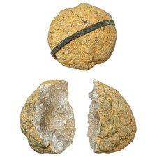 Géodinos petite géode de