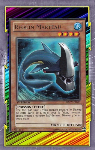 Requin marteau gaov fr008 - gaov-fr008, eau
