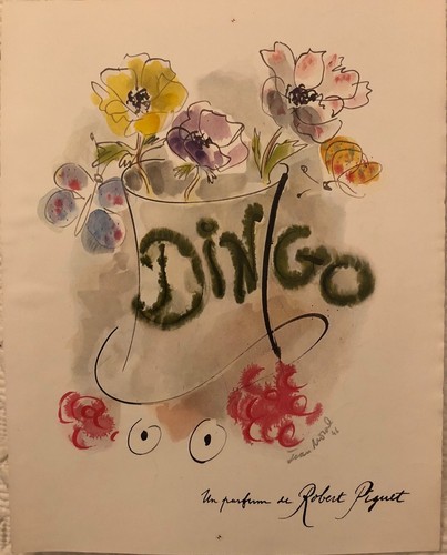 Noral jean dingo un - "dingo",