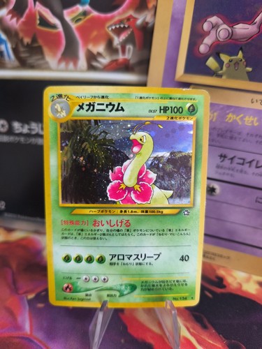 Carte pokemon card - pokemon, meganium