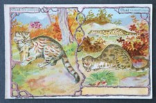 Chromo image publicitaire