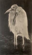 Tableau ancien estampe Art