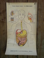 ANCIENNE AFFICHE- PLANCHES