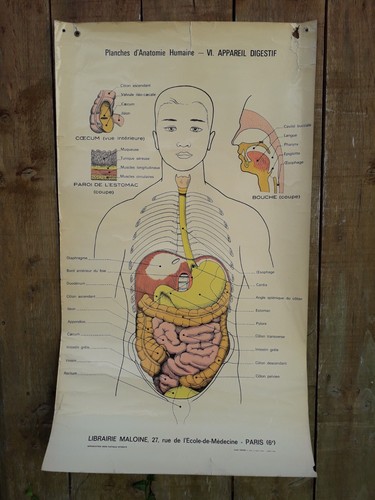 Ancienne affiche planches - ancienne,