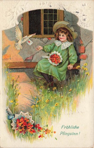 Joyeuse pentecôte pigeon - joyeuse,