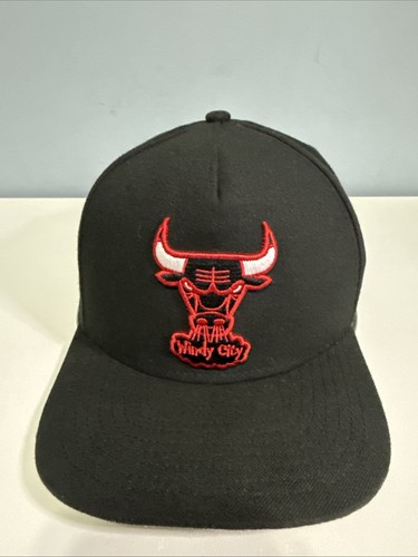 Chicago bulls windy city - bulls,