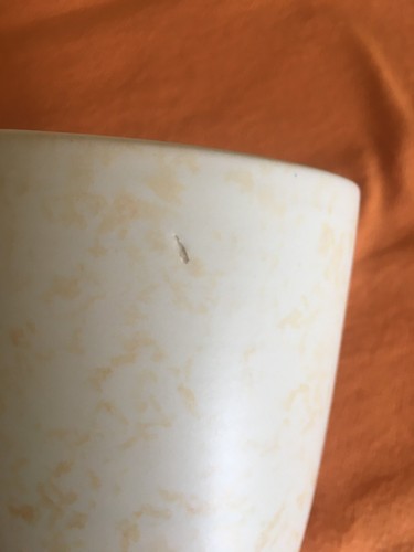 Vase deco villeroy boch - vase,