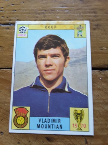 Panini vladimir mountian - panini,