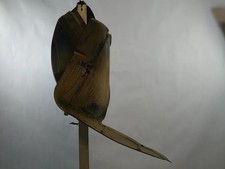 Pare boue arriere droit