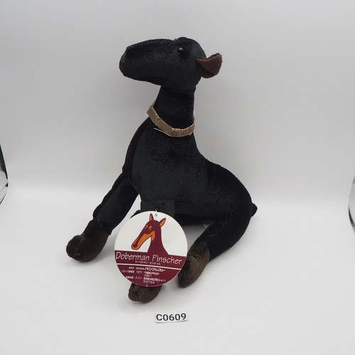 Doberman pinscher black dog - doberman,