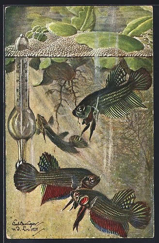 Carte postale artiste - carte,