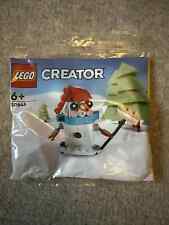 LEGO CREATOR : Bonhomme de