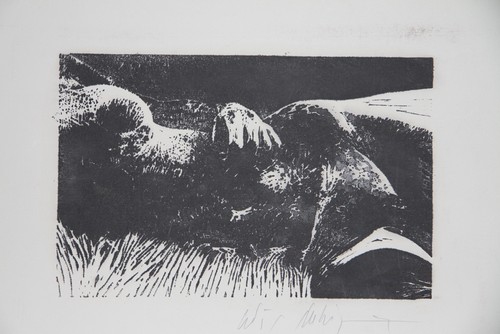 Dubigeon loic lithographie - dubigeon,