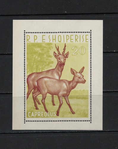 S9606 albanie 1962 - s9606, faune,