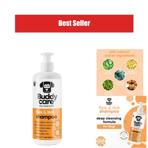 Shampoing chien anti puces - chien, et