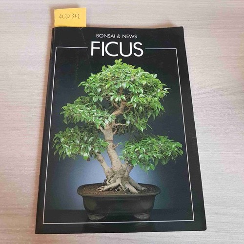 Ficus bonsai news crespi - -,