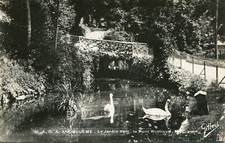 Angoulême - Le jardin vert - Le pont rustique et les cygnes