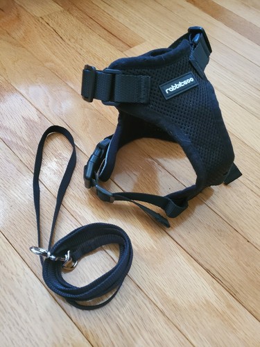 New rabbitgoo harness - rabbitgoo,